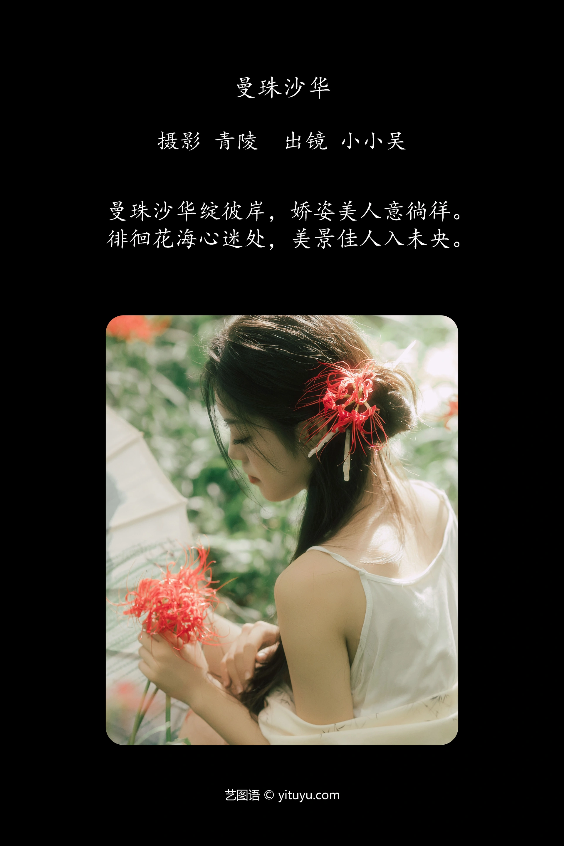 [YITUYU艺图语]2024.12.10 曼珠沙华 小小吴 0